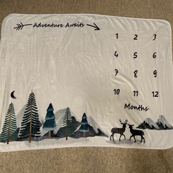 Milestone blanket - Picture 2 of 4